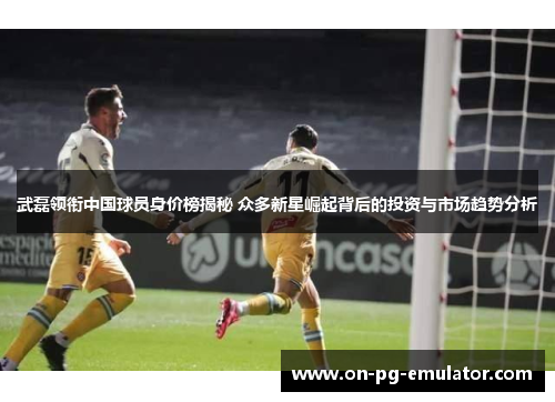武磊领衔中国球员身价榜揭秘 众多新星崛起背后的投资与市场趋势分析