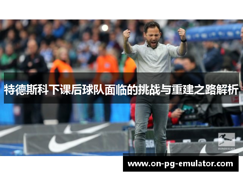 特德斯科下课后球队面临的挑战与重建之路解析