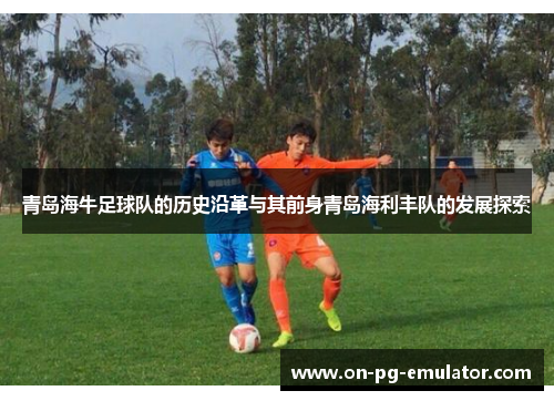 青岛海牛足球队的历史沿革与其前身青岛海利丰队的发展探索